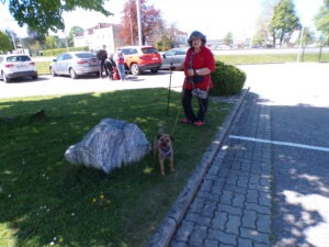 KODAK Digital Still Camera