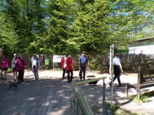 KODAK Digital Still Camera