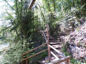 KODAK Digital Still Camera