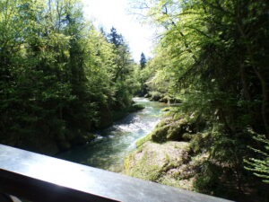 KODAK Digital Still Camera