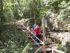 KODAK Digital Still Camera